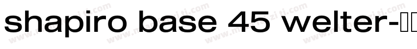 shapiro base 45 welter字体转换
